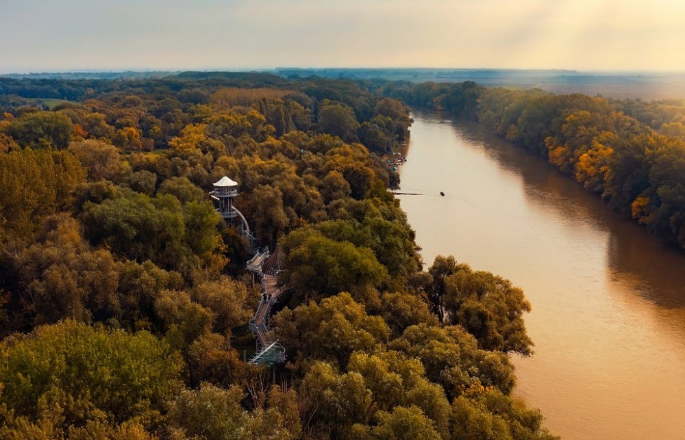 Mako lombkorona setany