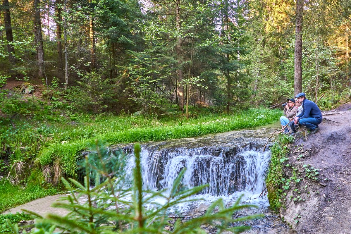 Projekt bez nazwy - 1