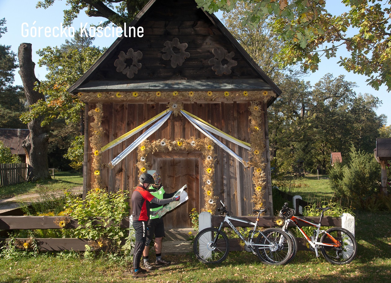 Górecko Koœcielne - Aleja pomnikowych dêbów50.505189, 22.973257